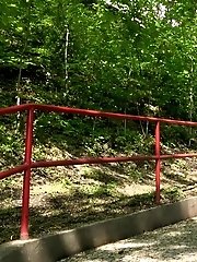 15 pictures - Sprinkles near Steps