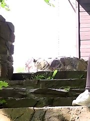 15 pictures - White Sneakers