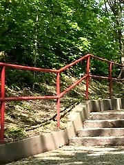 15 pictures - Sprinkles near Steps