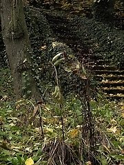 15 pictures - Hot blonde is desperate to piss while outside