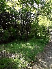 15 pictures - Dark haired girl in sunglasses pisses outside