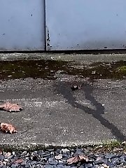 15 pictures - Pretty blonde squats on concrete to piss