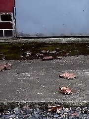 15 pictures - Pretty blonde squats on concrete to piss
