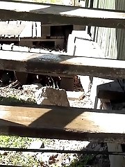 15 pictures - Pretty dark haired girl sprays her piss onto steps