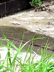 15 pictures - Dark haired babe has a very long piss outside