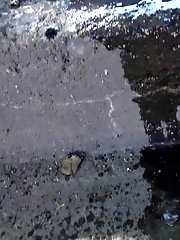 15 pictures - Trickling Steps