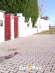 15 pictures - Sunny Day