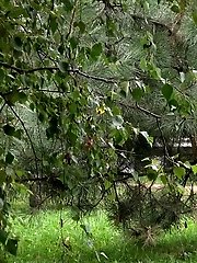 15 pictures - Pretty blonde pisses outside on a bench