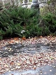 15 pictures - Pretty blonde teen pees in public near buildings