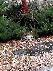 15 pictures - Pretty blonde teen pees in public near buildings