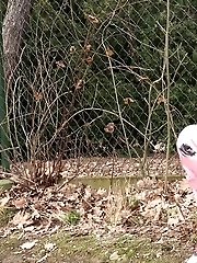 15 pictures - Funky looking blonde squats to piss while outside