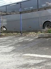 15 pictures - Dark haired girl pisses by a public car park