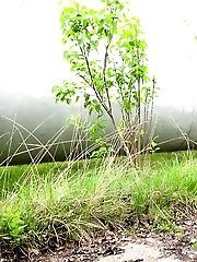 15 pictures - Hot brunette pissing over a path while outside