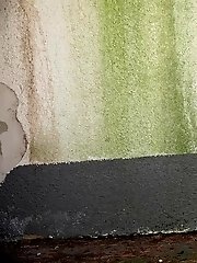 15 pictures - Pretty girl squats to piss while outside