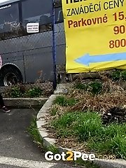 15 pictures - Dark haired girl pisses by a public car park