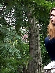 15 pictures - Woodland