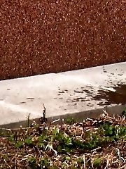 15 pictures - Bursting