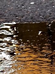 15 pictures - Raven haired babe leaves a piss puddle outside