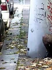 15 pictures - Sexy blonde pulls down her leggings to pee