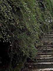 15 pictures - Cute girl in sneakers pisses on steps