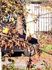 15 pictures - Pretty blonde in boots pisses on the ground