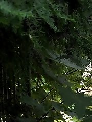 15 pictures - Gorgeous blonde pees on a bridge