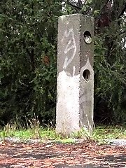 15 pictures - Pink and Black