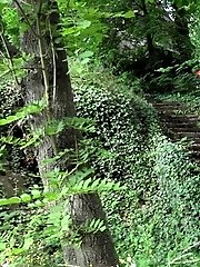 15 pictures - Leaning Back