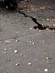 15 pictures - Pretty brunette leaves a wet patch after peeing