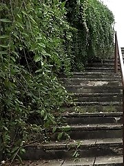 15 pictures - Brunette pissing in public over concrete steps