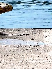 15 pictures - Pretty brunette sprays her piss onto the ground