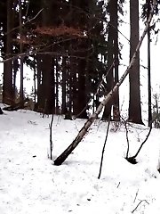 15 pictures - Snowy Stream