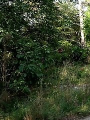 15 pictures - Mint Green Pee