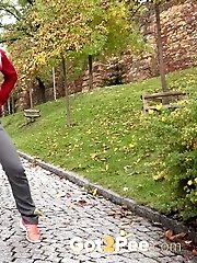 15 pictures - Pee Time On A Park Walk