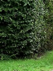 15 pictures - Pretty brunette pulls down her trousers to pee