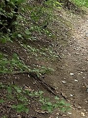 15 pictures - Pretty European is desperate to piss in the woods