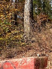 15 pictures - Blonde in Black