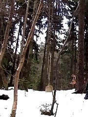 15 pictures - Snowy Stream