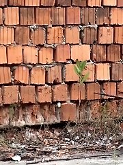15 pictures - Brunette lifts her green dress to pee in public