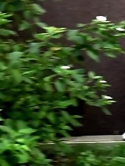 15 pictures - Redhead squats right down to piss