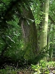 15 pictures - Sexy blonde pees in the forest