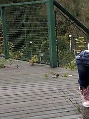 15 pictures - Dark haired girl squats to piss on decking
