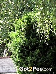 15 pictures - Standing Stream