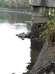 15 pictures - No Idea