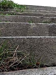 15 pictures - Windy Steps