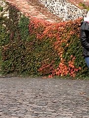 15 pictures - European blonde squats to piss while outside
