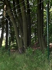 15 pictures - Brunette pissing outside next to a fence