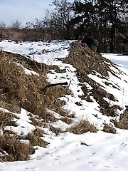 15 pictures - Dark haired babe squats to piss in the snow