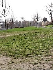 15 pictures - Blonde with bare pussy pisses outside