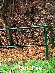 15 pictures - Brunette pisses while standing up next to a road